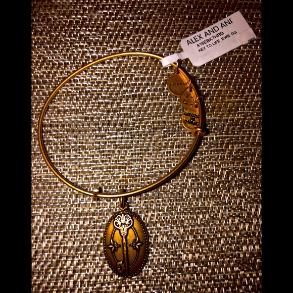 Alex and Ani Jewelry - Alex and Ani Key To Life Charm Bracelet🔑💛